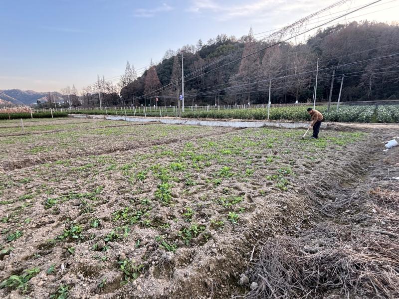 谭家桥镇：拧紧监督“螺丝钉” 筑牢耕地“安全线”