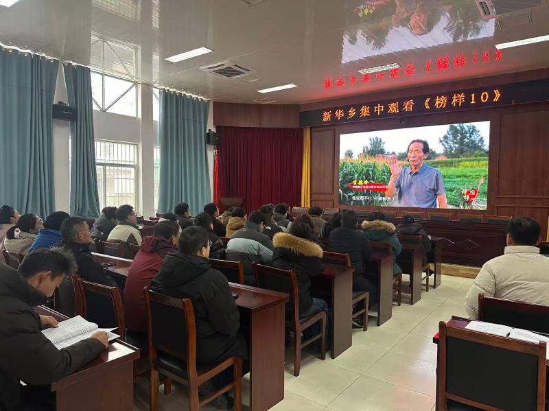 新华乡：警鉴与榜样双轮驱  正风与铸魂同向行