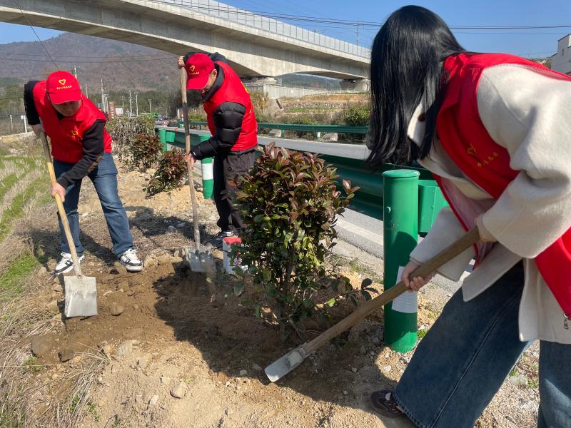 黄山公路分中心：植绿护绿美公路 春风添绿正当时