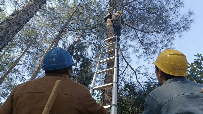 甘棠镇：群众“点题”纪检“督办”  守护群众安居安全