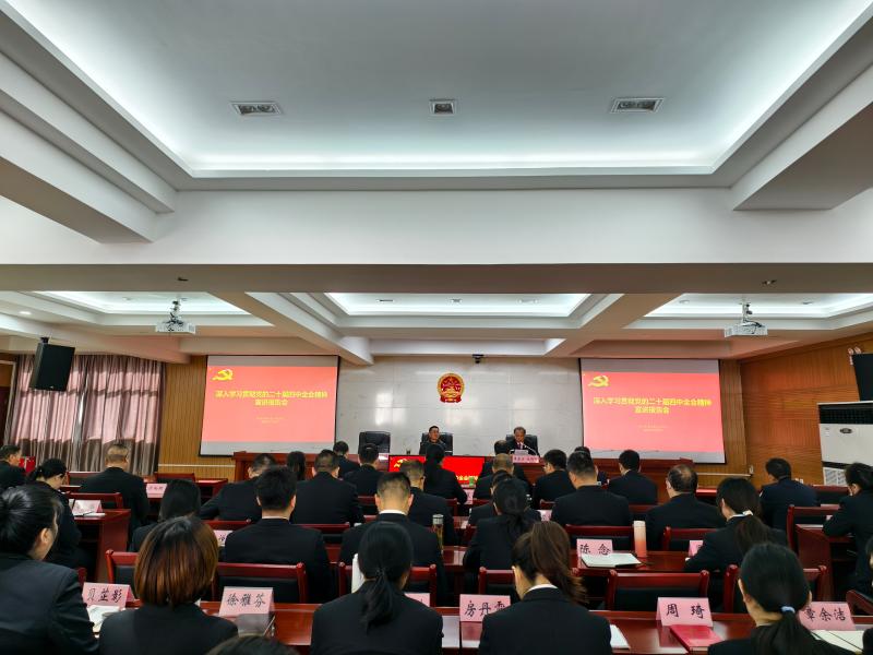 区法院：召开深入学习贯彻党的二十届四中全会精神宣讲报告会