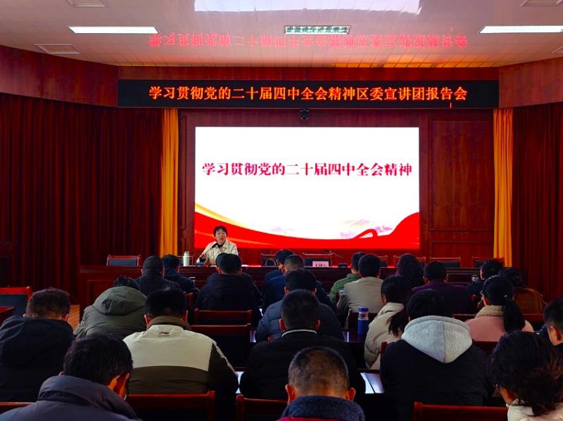 新华乡：召开学习贯彻党的二十届四中全会精神区委宣讲团报告会